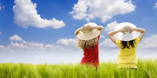 Vestibulum faucibus mollis tel massa id est